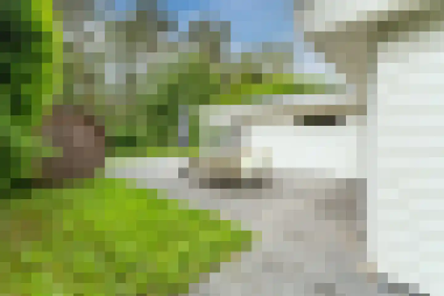 Immenweg 15 R 173 Lunteren thumbnail 4
