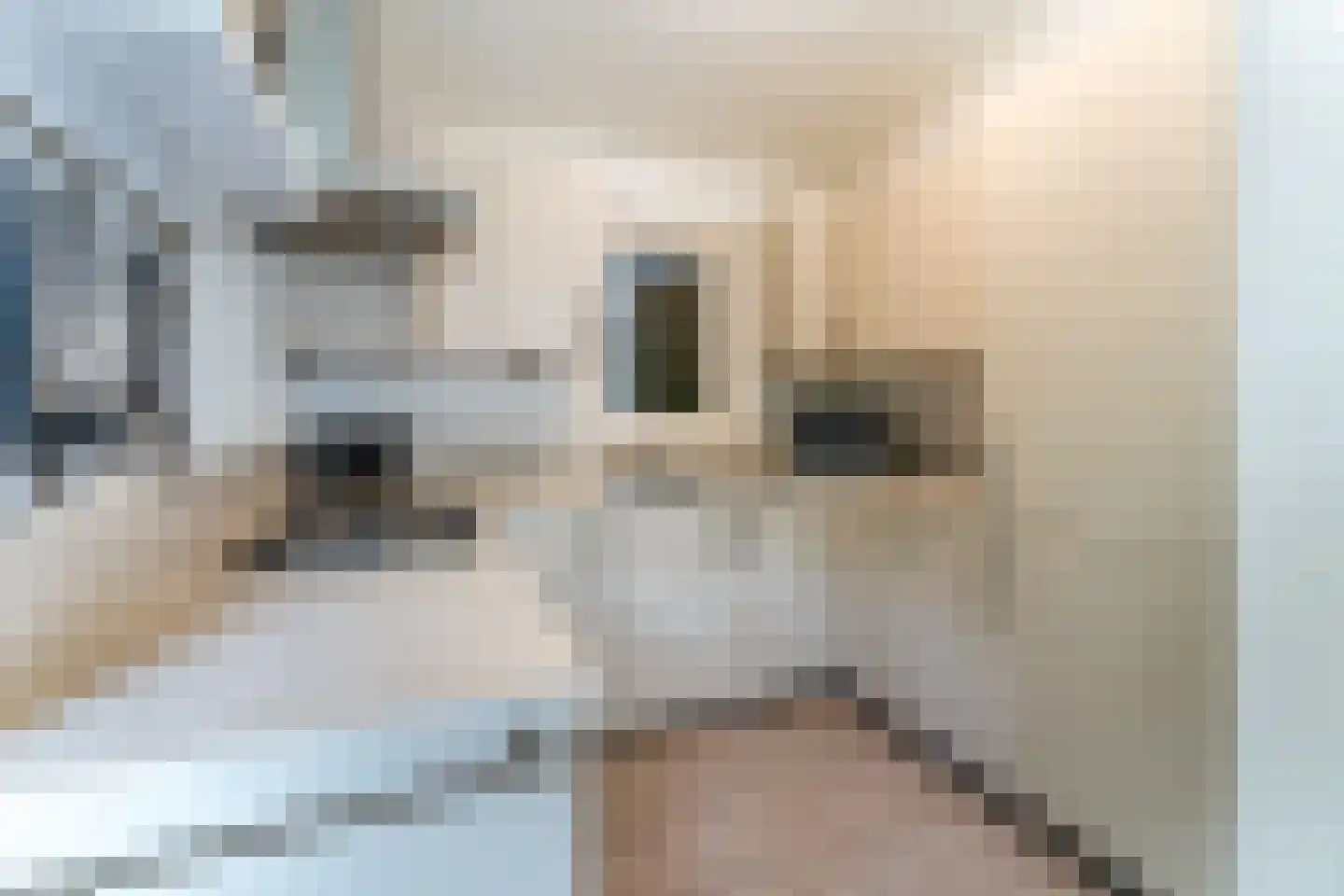 Immenweg 15 R 173 Lunteren thumbnail 7