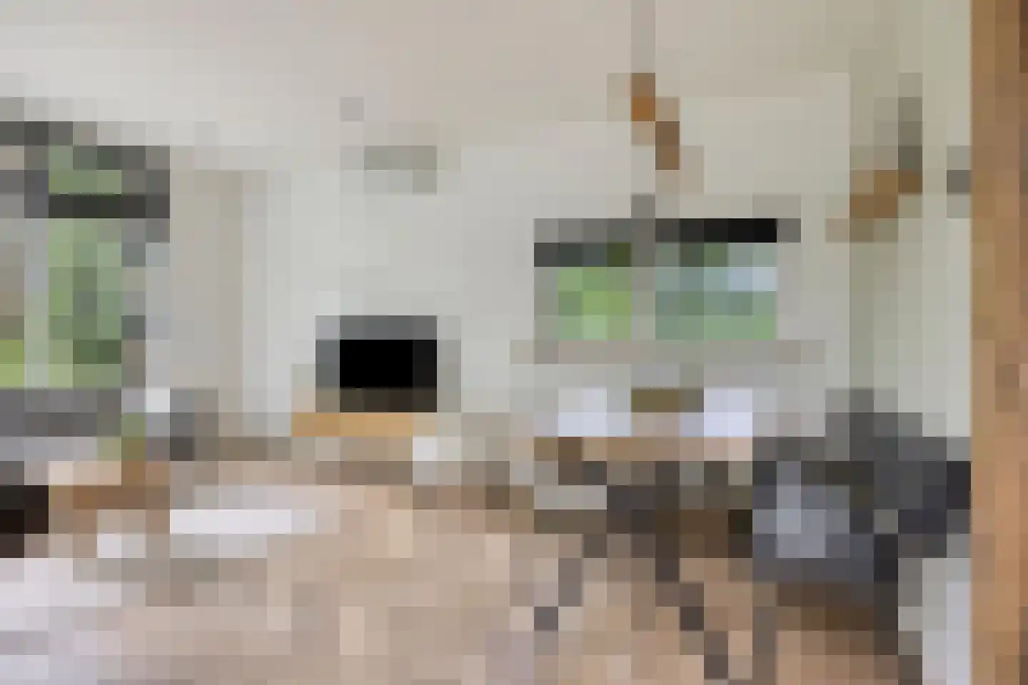Immenweg 15 R 189 Lunteren thumbnail 11