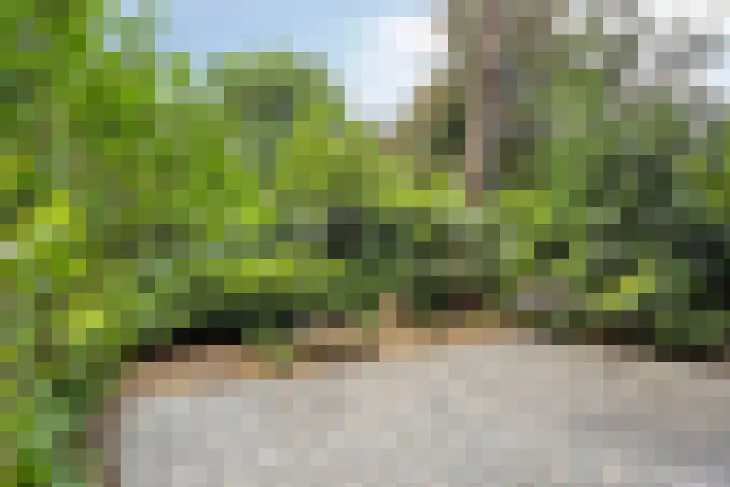 Immenweg 15 R 189 Lunteren thumbnail 25