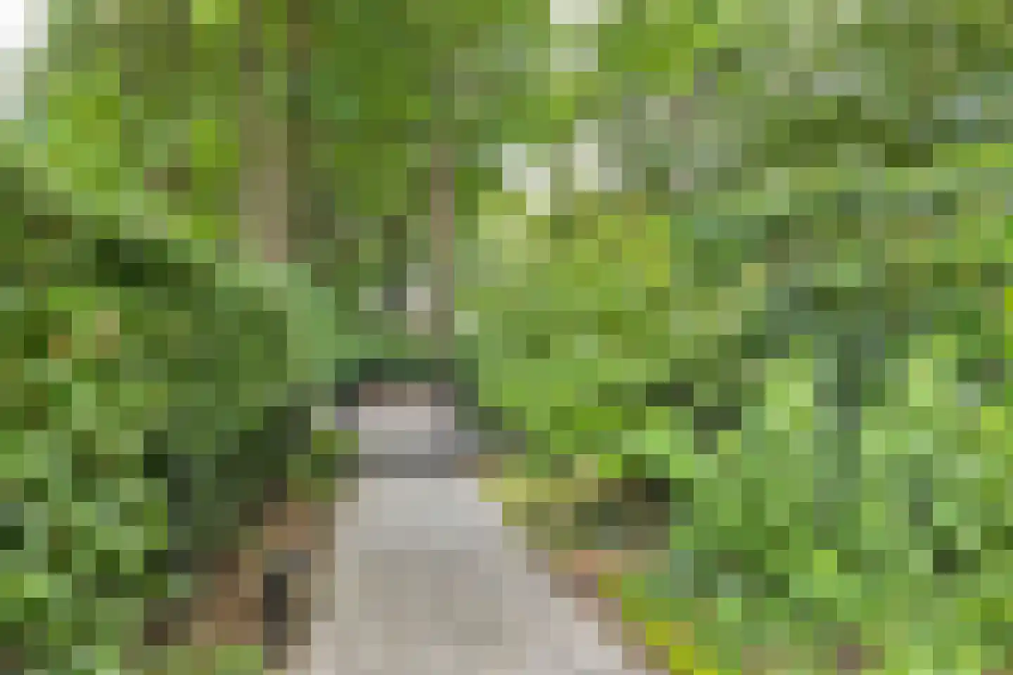Immenweg 15 R 189 Lunteren thumbnail 32