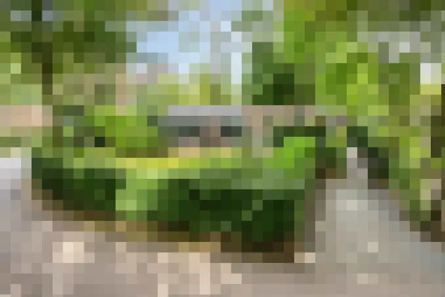 Immenweg 15 R 189 Lunteren thumbnail 34