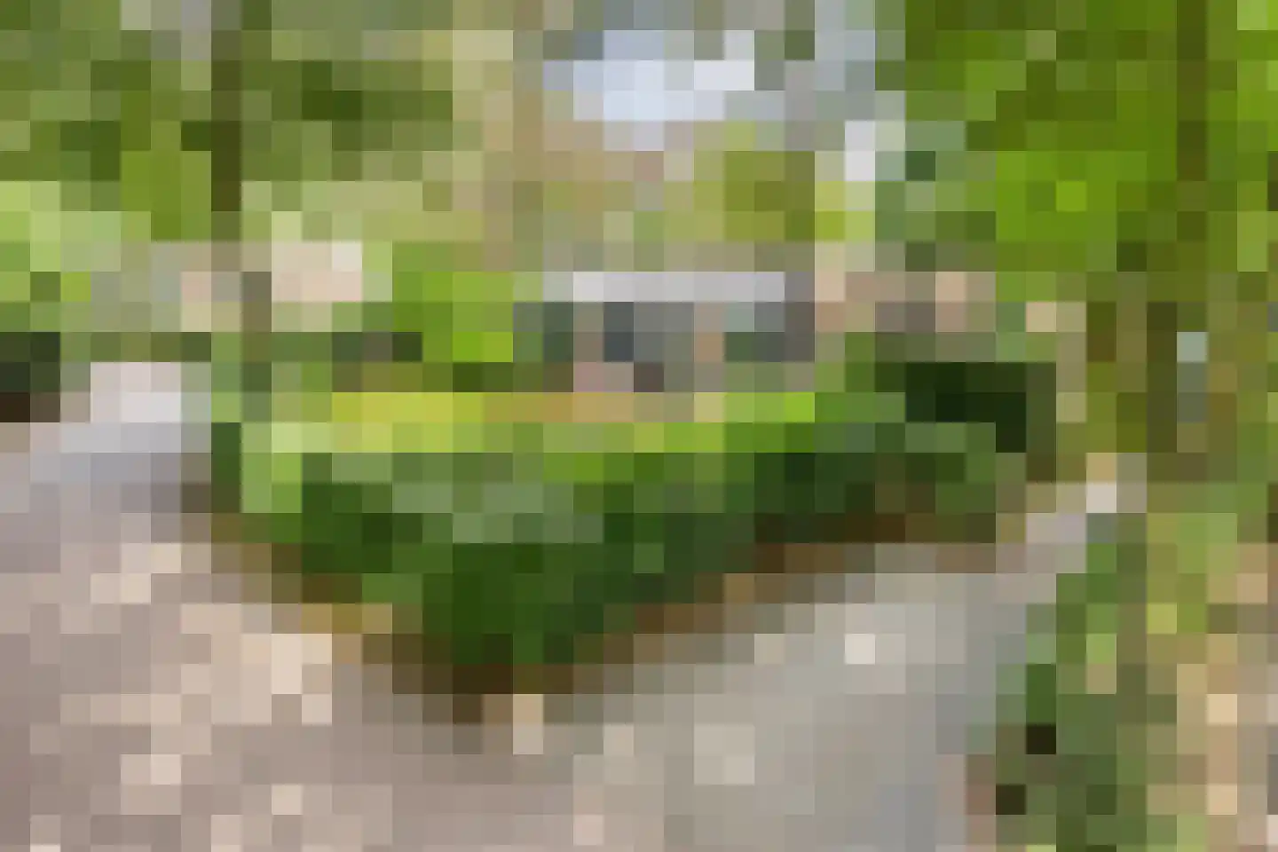 Immenweg 15 R 189 Lunteren thumbnail 35
