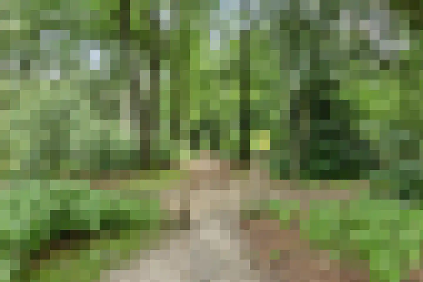 Immenweg 15 R 189 Lunteren thumbnail 37