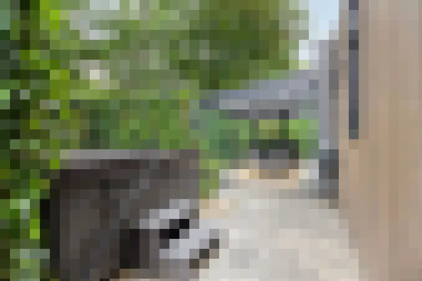 Immenweg 15 R 189 Lunteren thumbnail 4