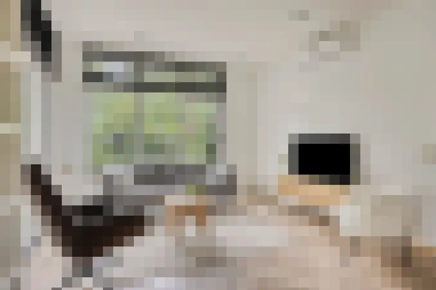 Immenweg 15 R 189 Lunteren thumbnail 7