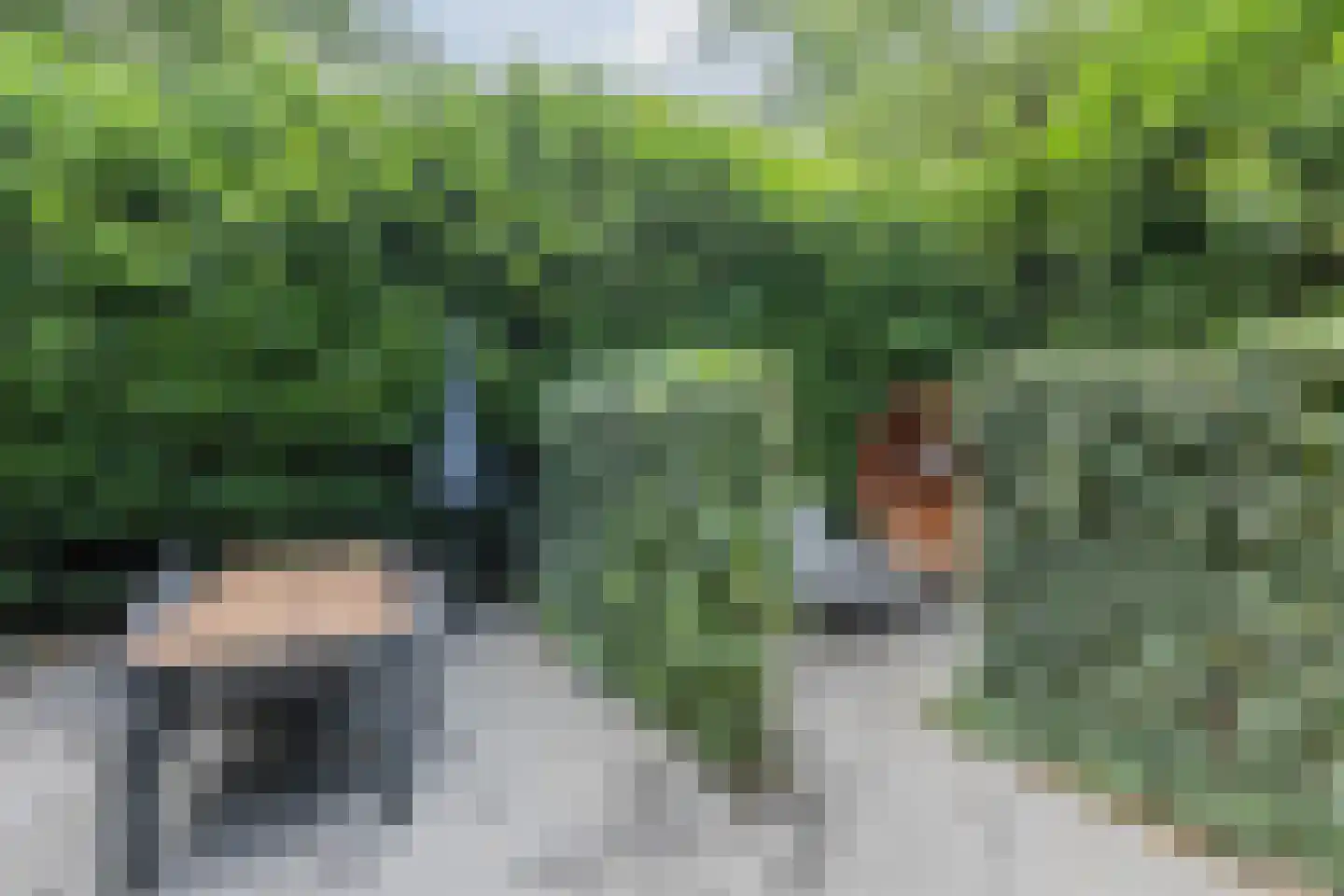 Immenweg 15 R 200 Lunteren thumbnail 22