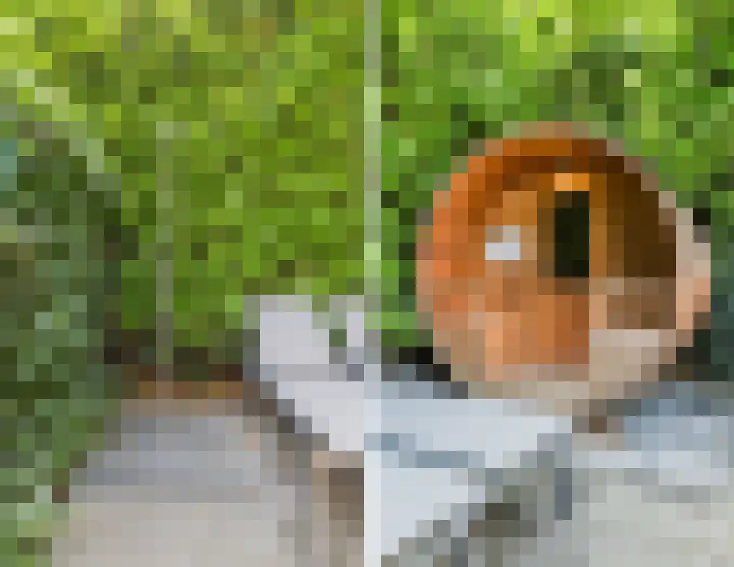 Immenweg 15 R 200 Lunteren thumbnail 25