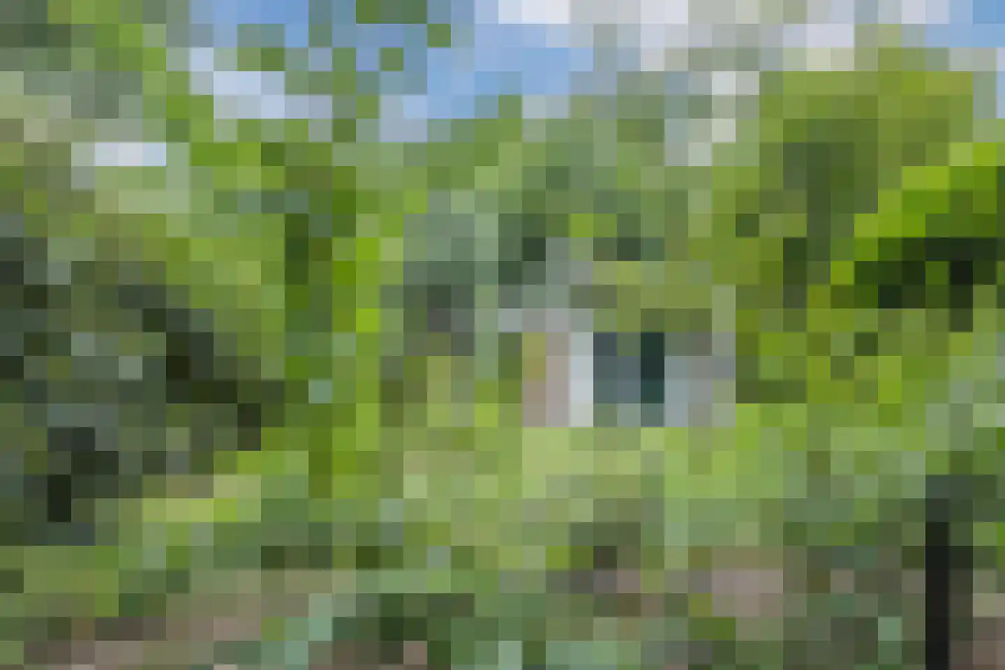 Immenweg 15 R 200 Lunteren thumbnail 27