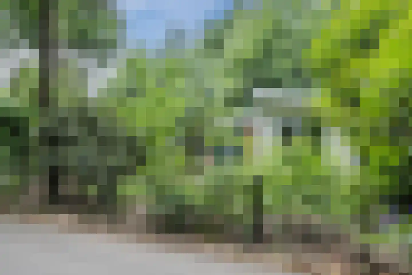 Immenweg 15 R 200 Lunteren thumbnail 28