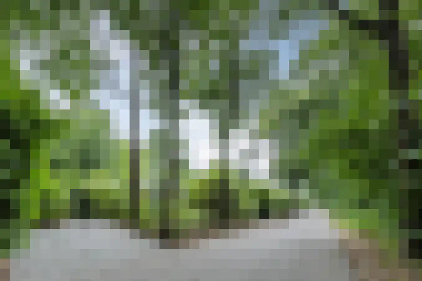 Immenweg 15 R 200 Lunteren thumbnail 29