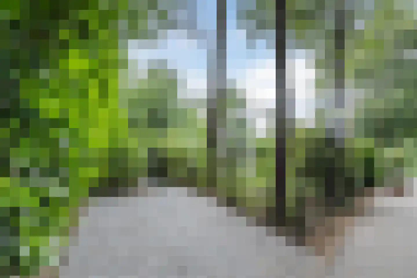 Immenweg 15 R 200 Lunteren thumbnail 30