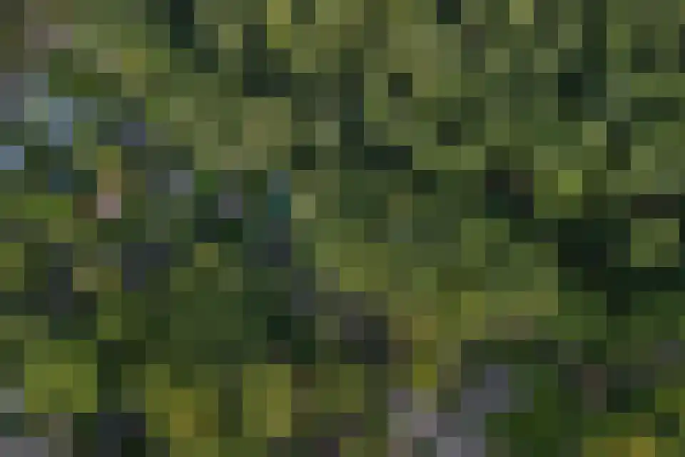 Immenweg 15 R 200 Lunteren thumbnail 31