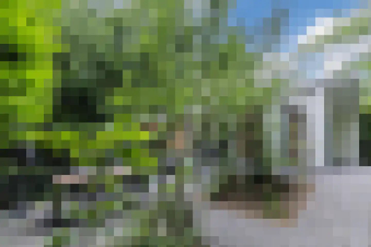 Immenweg 15 R 200 Lunteren thumbnail 4