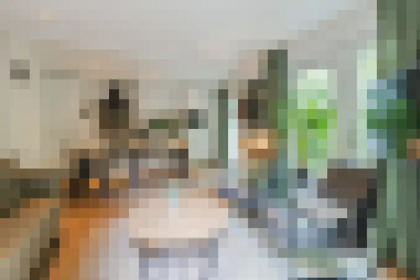Immenweg 15 R 200 Lunteren thumbnail 8