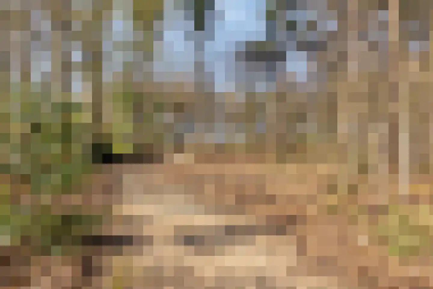 Immenweg 15 R 207 Lunteren thumbnail 27