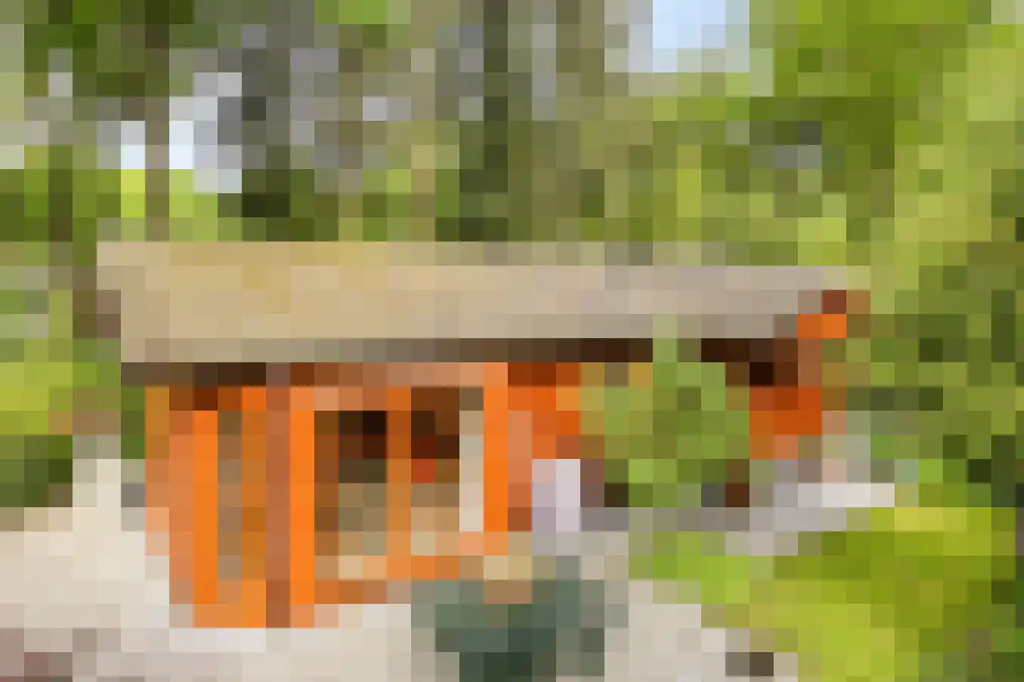 Immenweg 15 R 214 Lunteren thumbnail 17