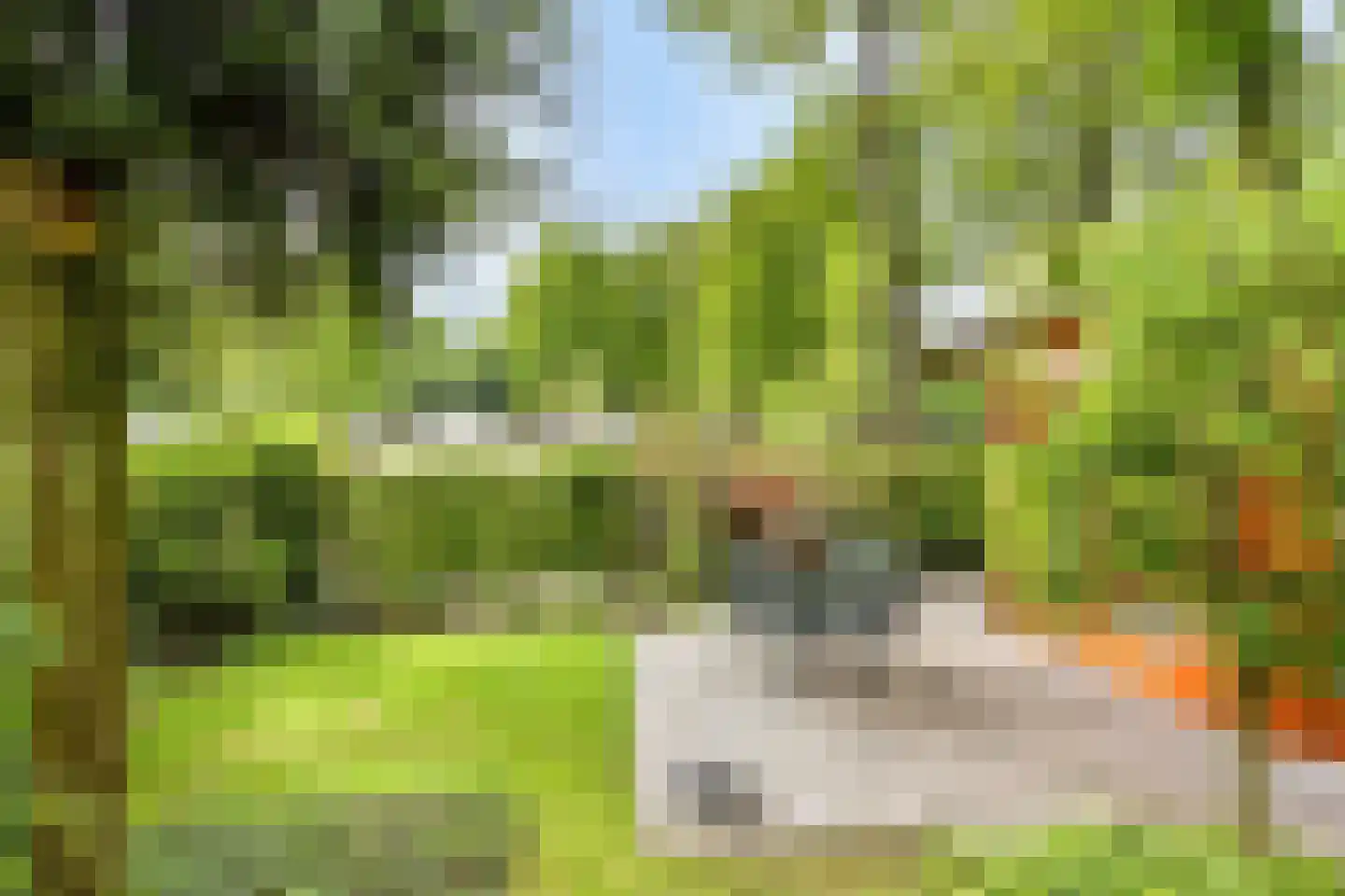 Immenweg 15 R 214 Lunteren thumbnail 18