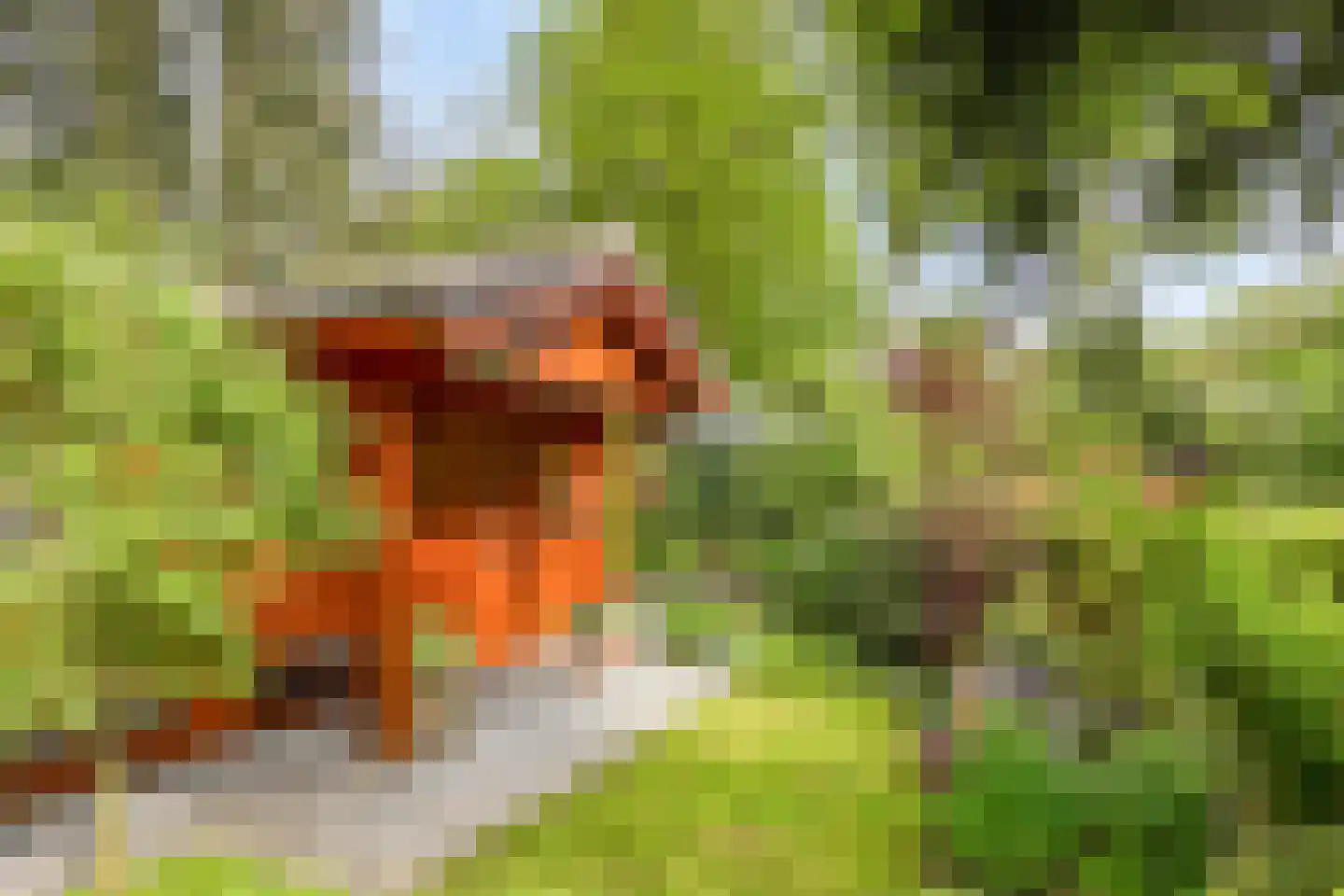 Immenweg 15 R 214 Lunteren thumbnail 19