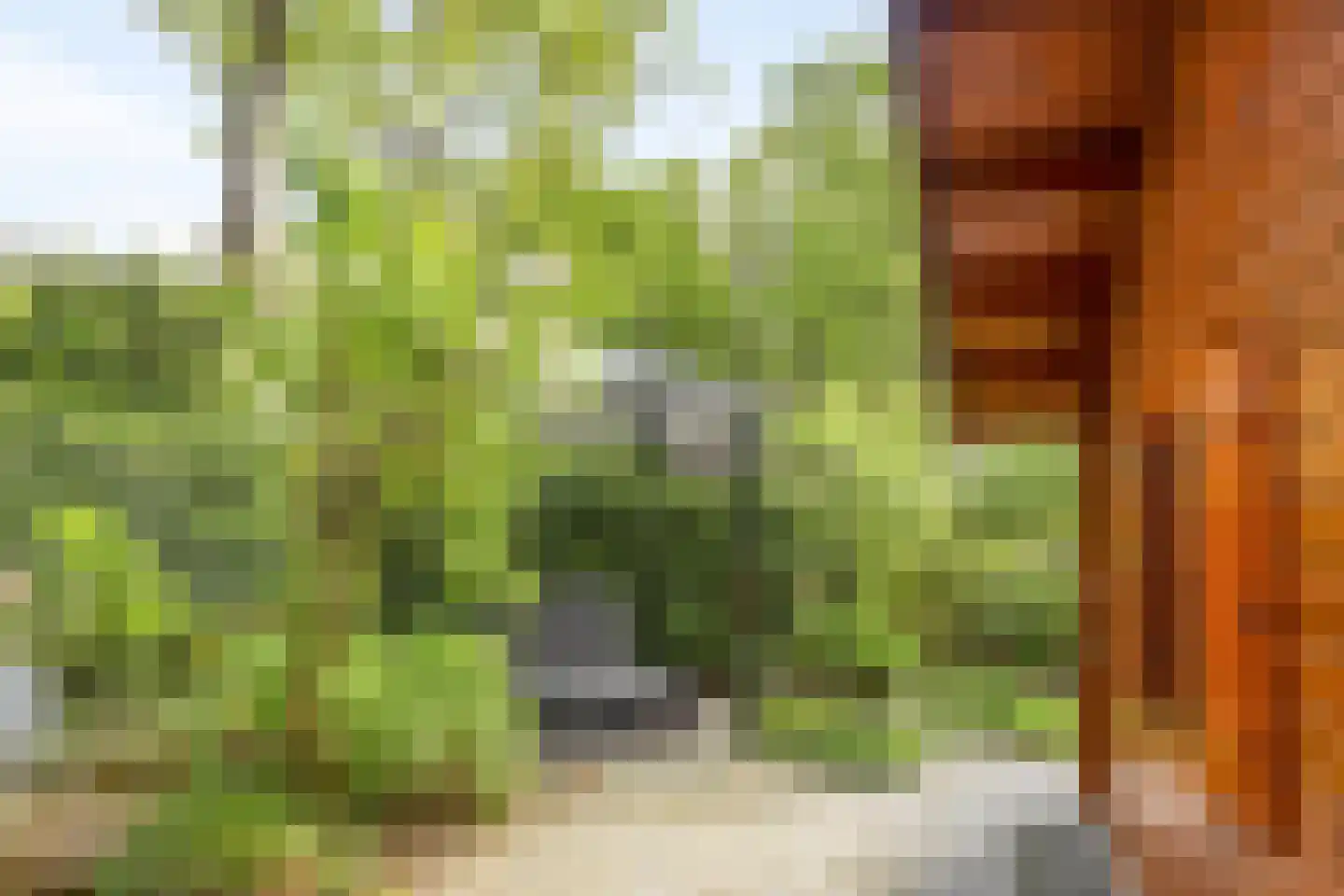 Immenweg 15 R 214 Lunteren thumbnail 20