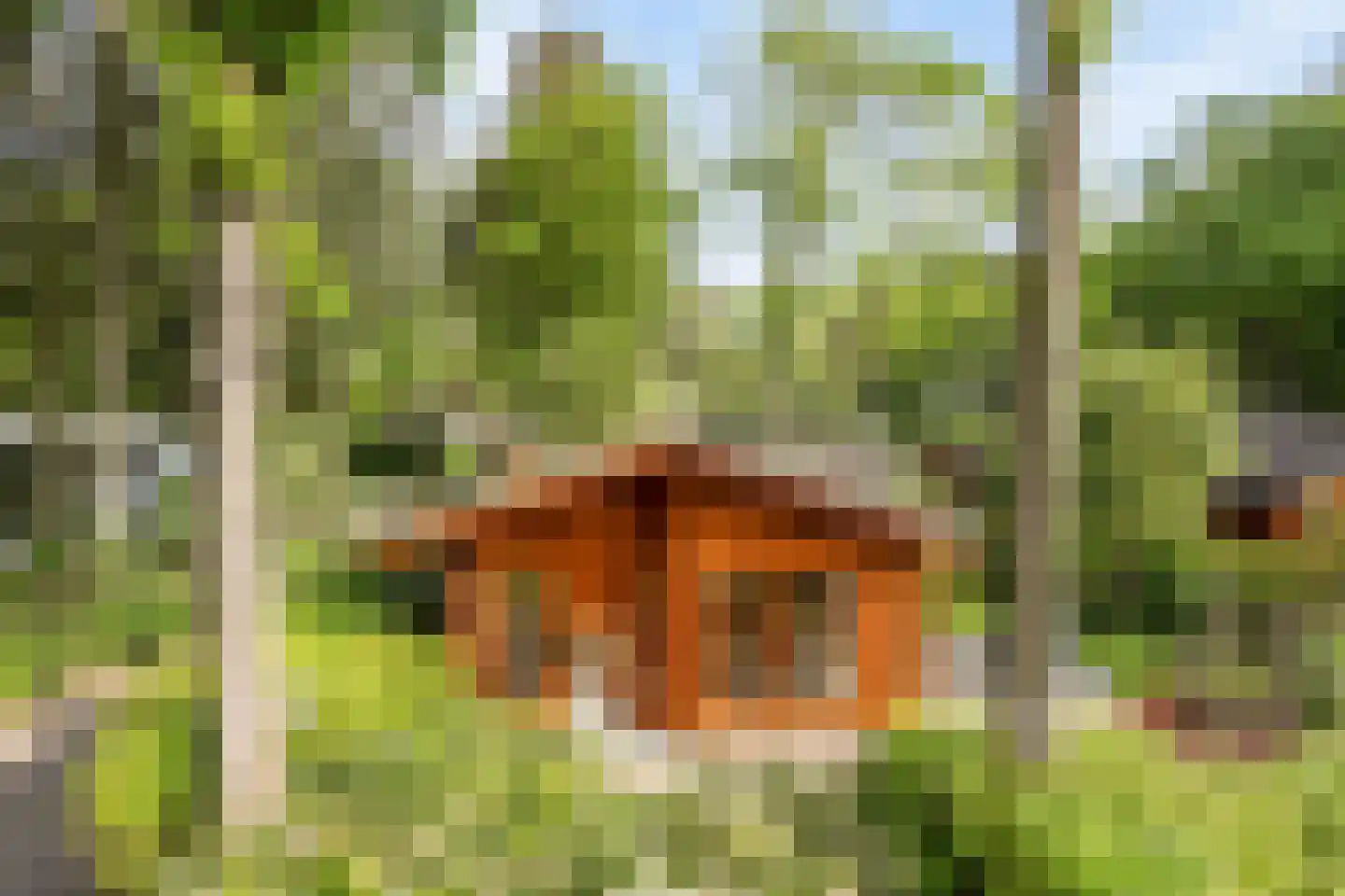 Immenweg 15 R 214 Lunteren thumbnail 23