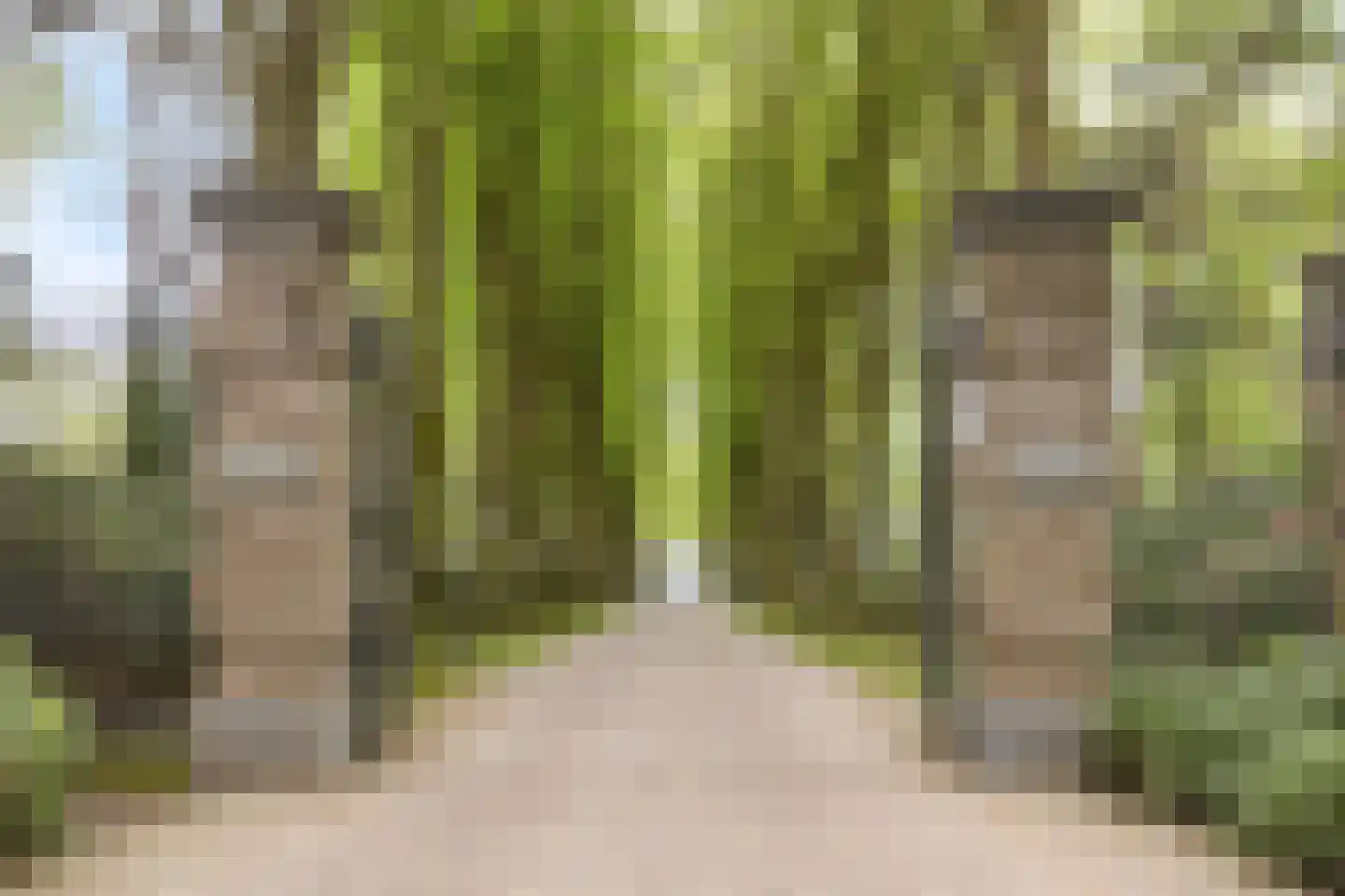 Immenweg 15 R 214 Lunteren thumbnail 27