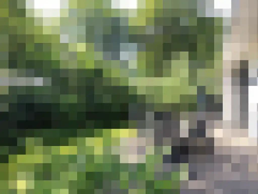 Immenweg 15 R 237 Lunteren thumbnail 10