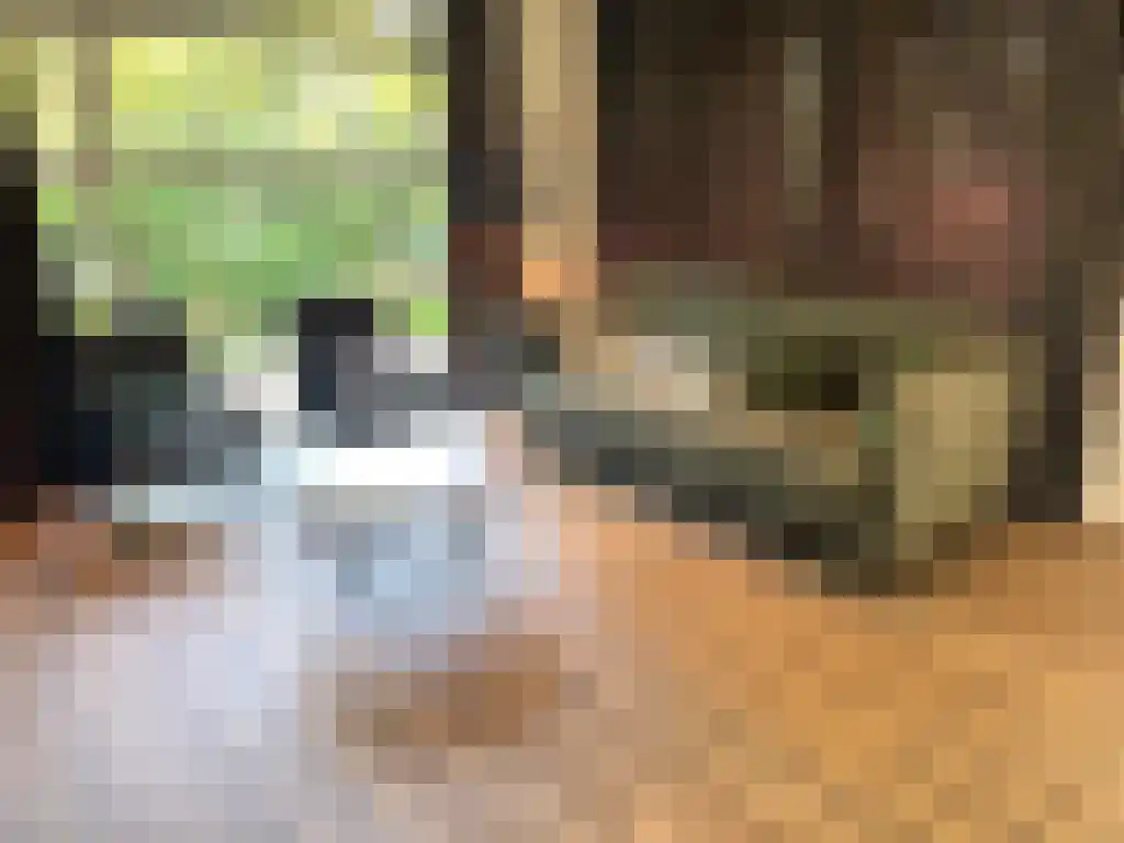 Immenweg 15 R 237 Lunteren thumbnail 13
