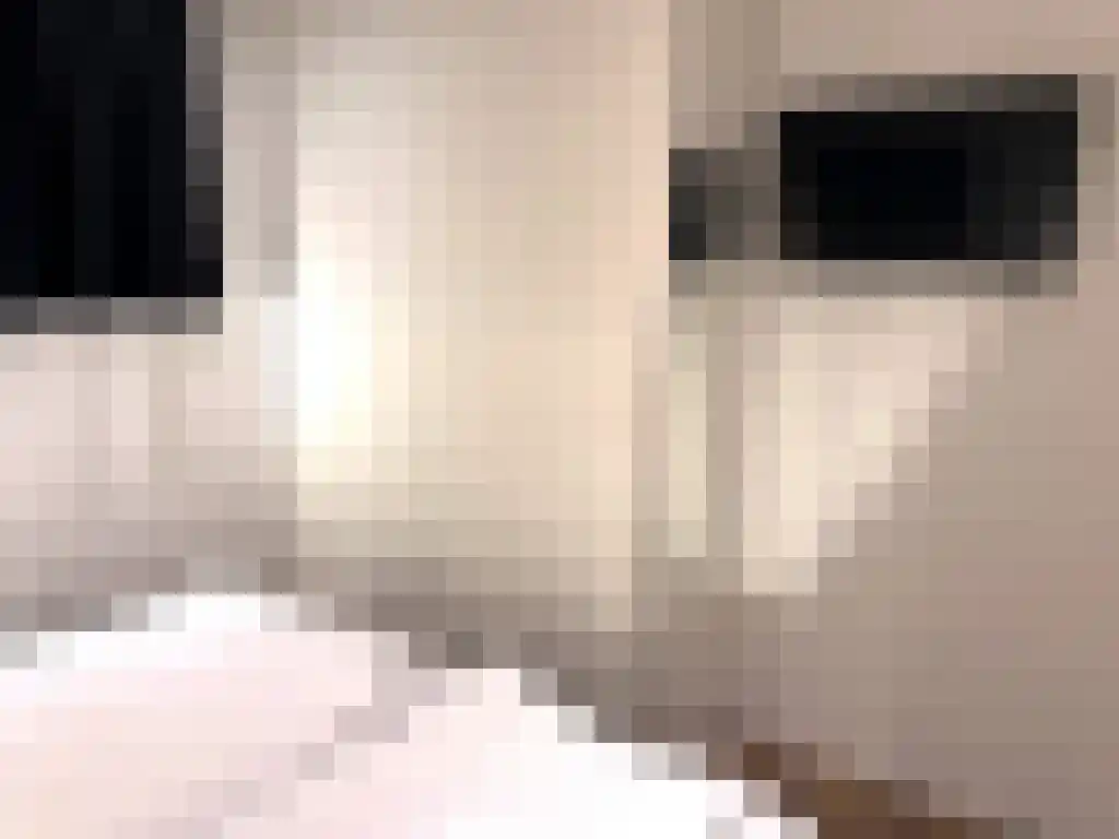Immenweg 15 R 237 Lunteren thumbnail 18