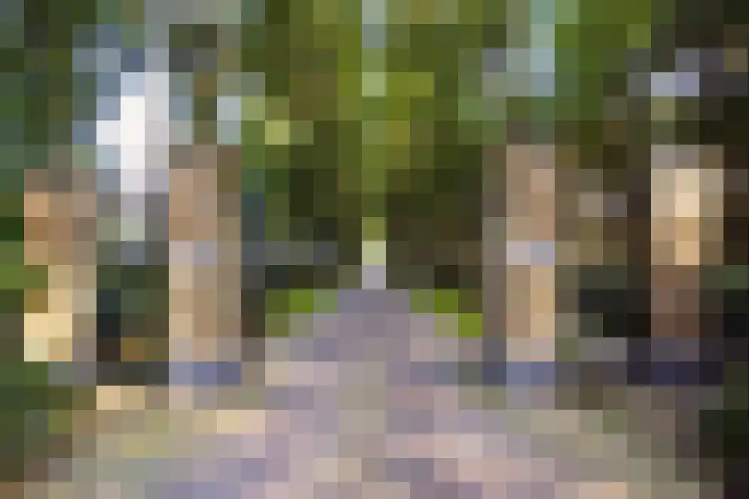 Immenweg 15 R 237 Lunteren thumbnail 30