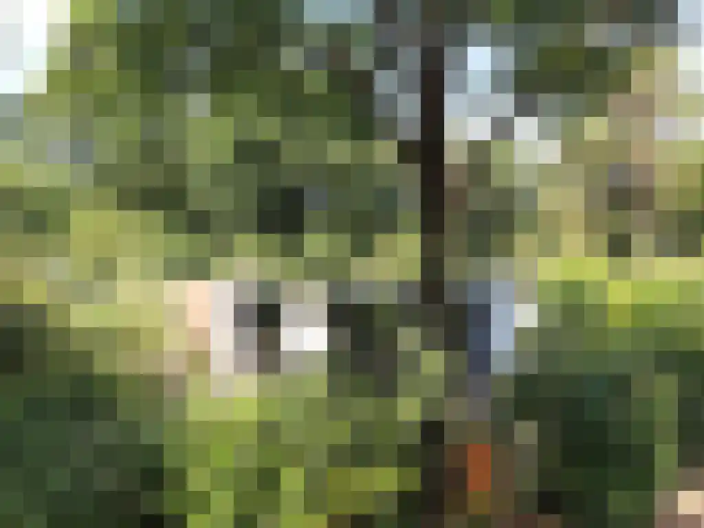 Immenweg 15 R 237 Lunteren thumbnail 6