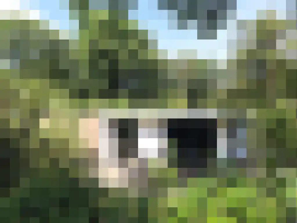 Immenweg 15 R 237 Lunteren thumbnail 7