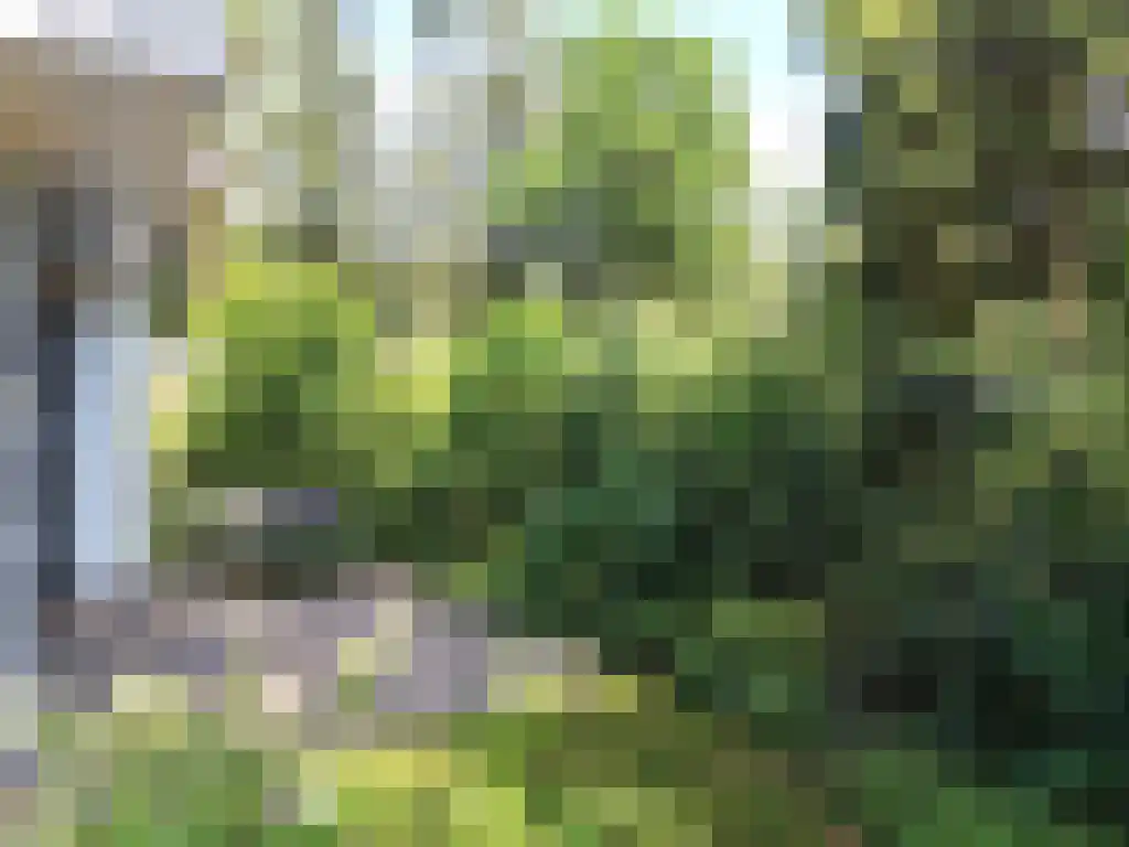 Immenweg 15 R 237 Lunteren thumbnail 9