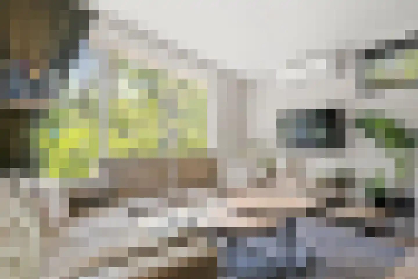 Immenweg 15 R 320 Lunteren thumbnail 12