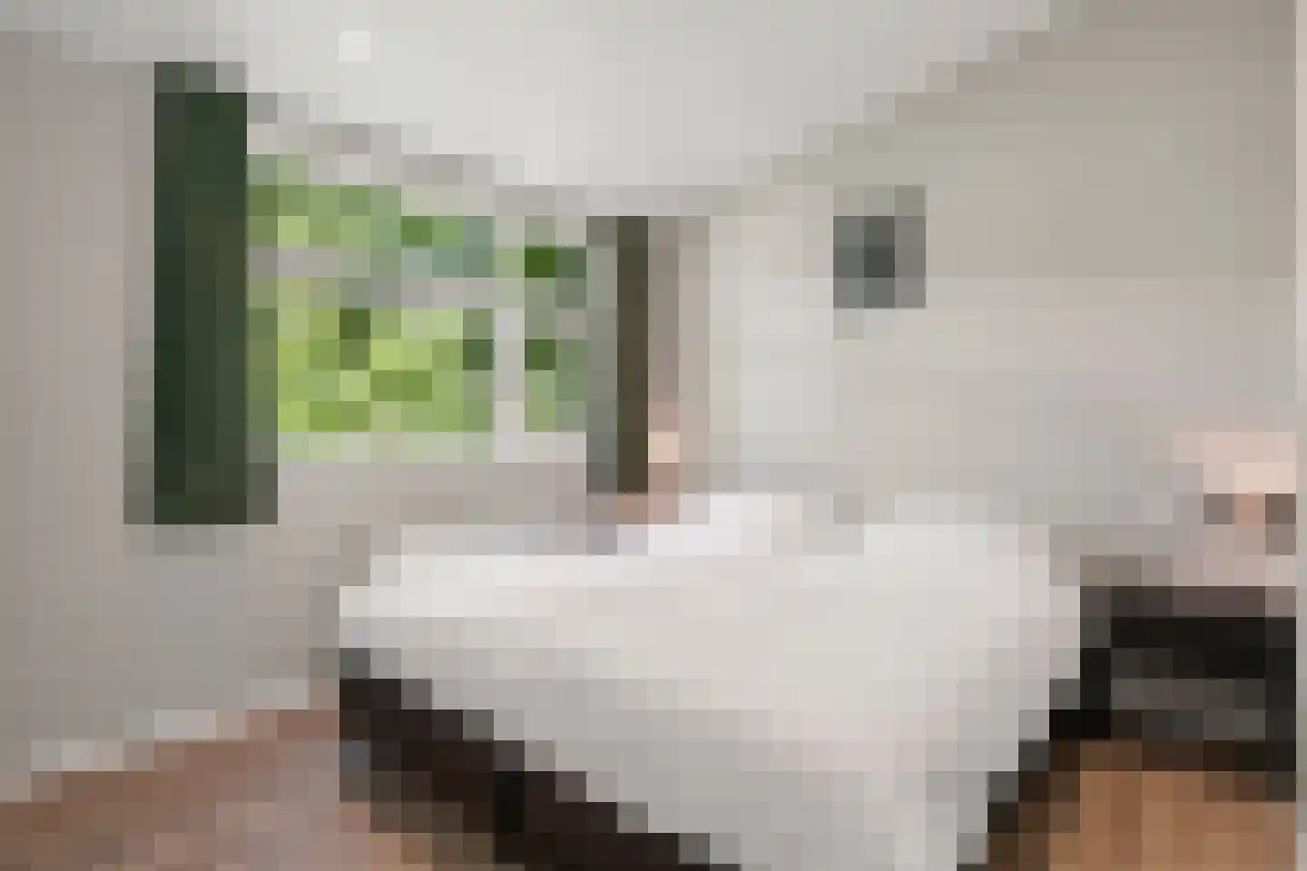 Immenweg 15 R 320 Lunteren thumbnail 13