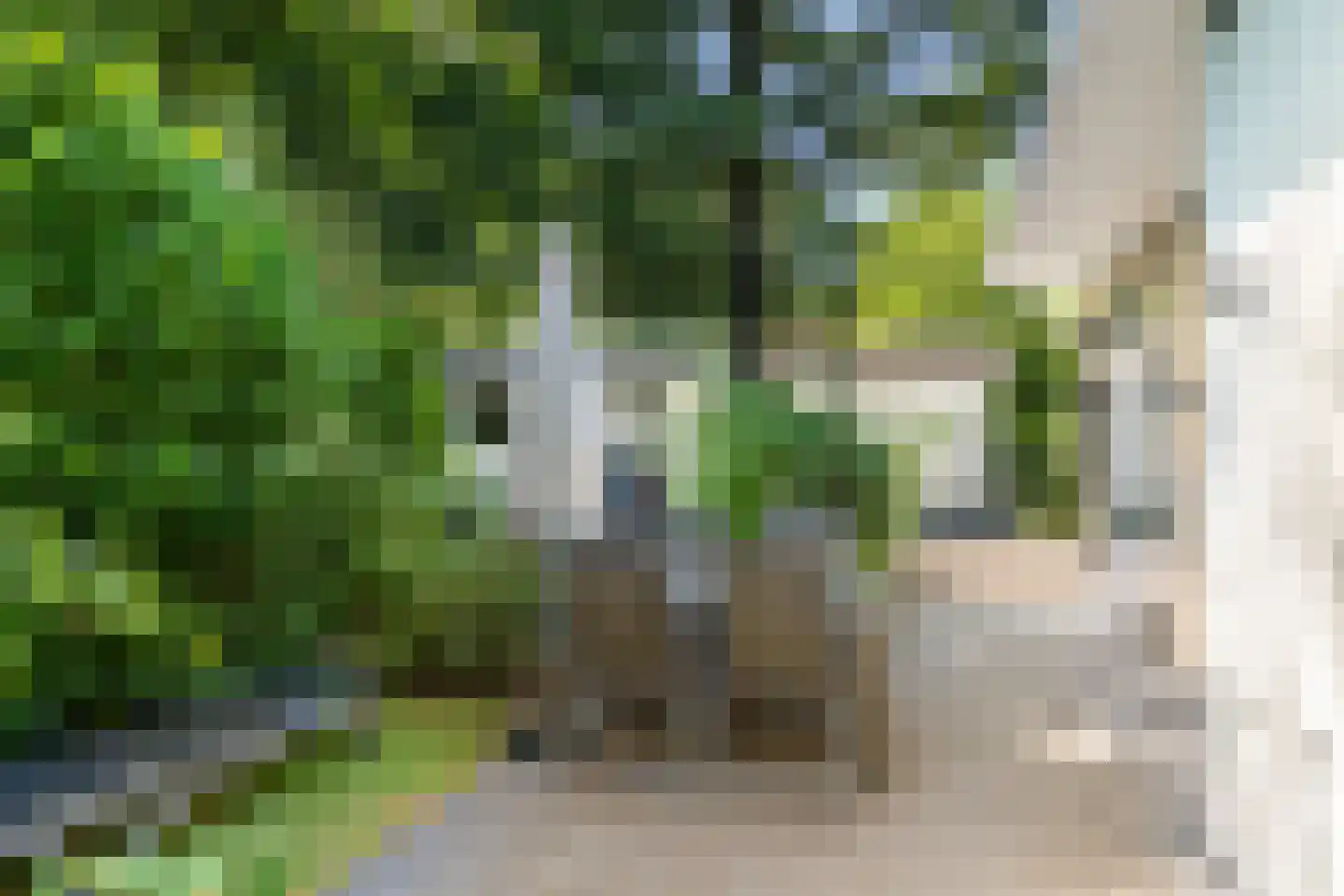Immenweg 15 R 320 Lunteren thumbnail 20