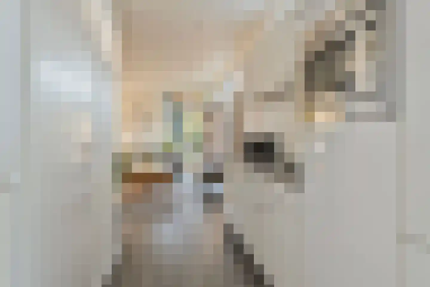 Immenweg 15 R 323 Lunteren thumbnail 8