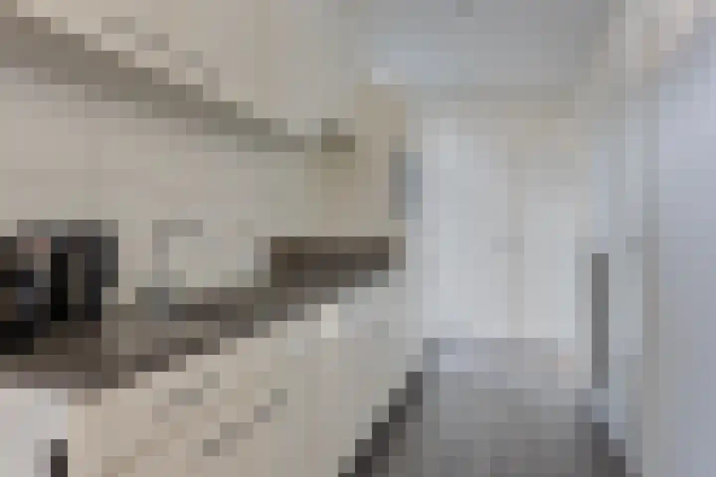 Immenweg 15 R 323 Lunteren thumbnail 9