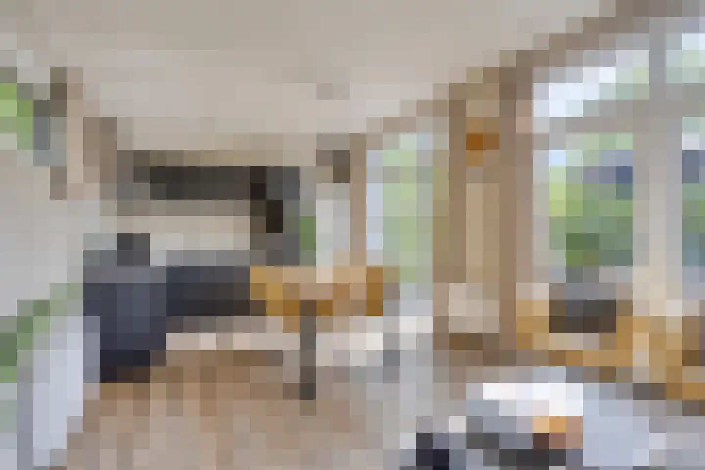 Immenweg 15 R 331A Lunteren thumbnail 11