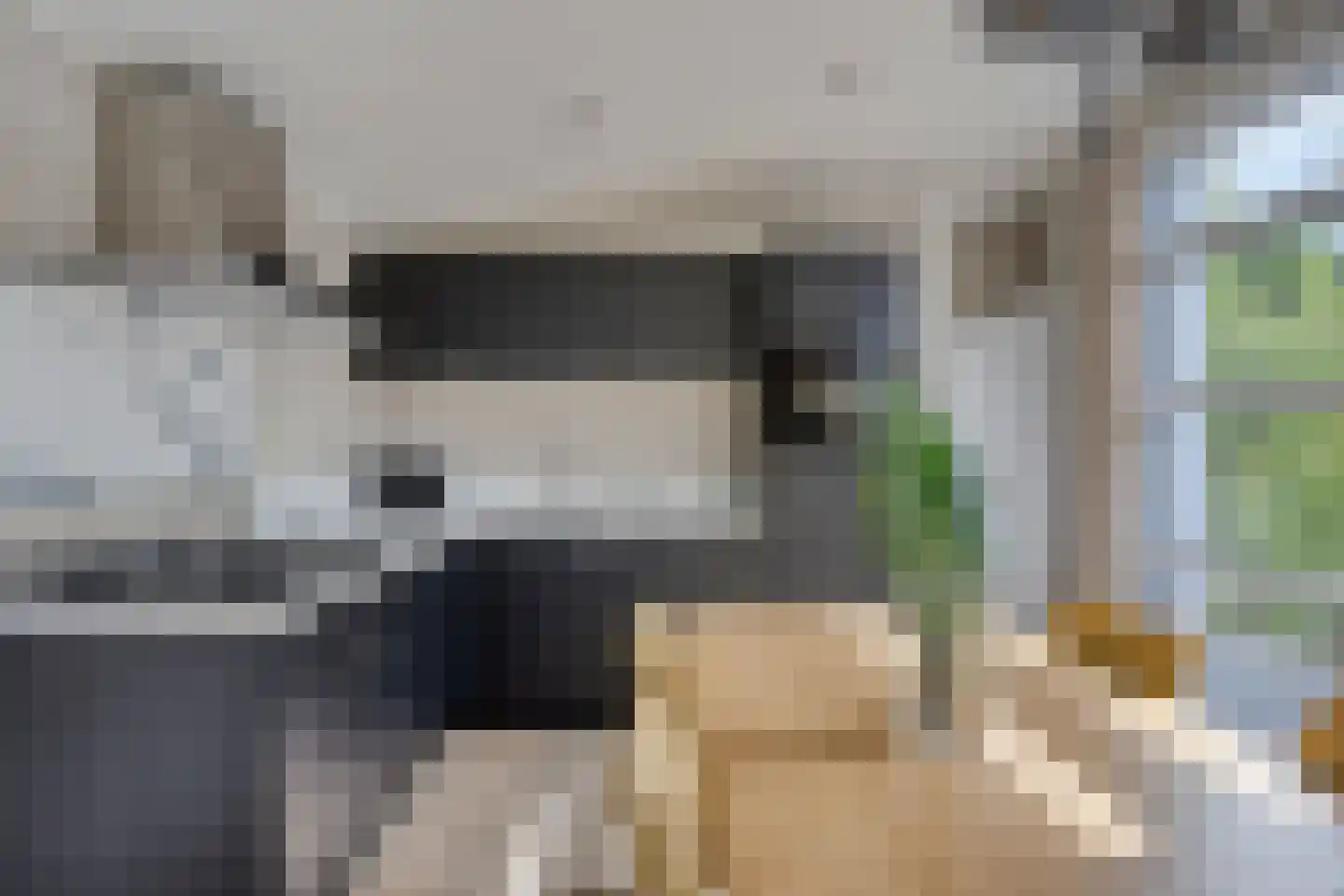 Immenweg 15 R 331A Lunteren thumbnail 13