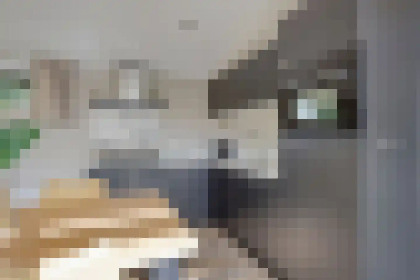 Immenweg 15 R 331A Lunteren thumbnail 16