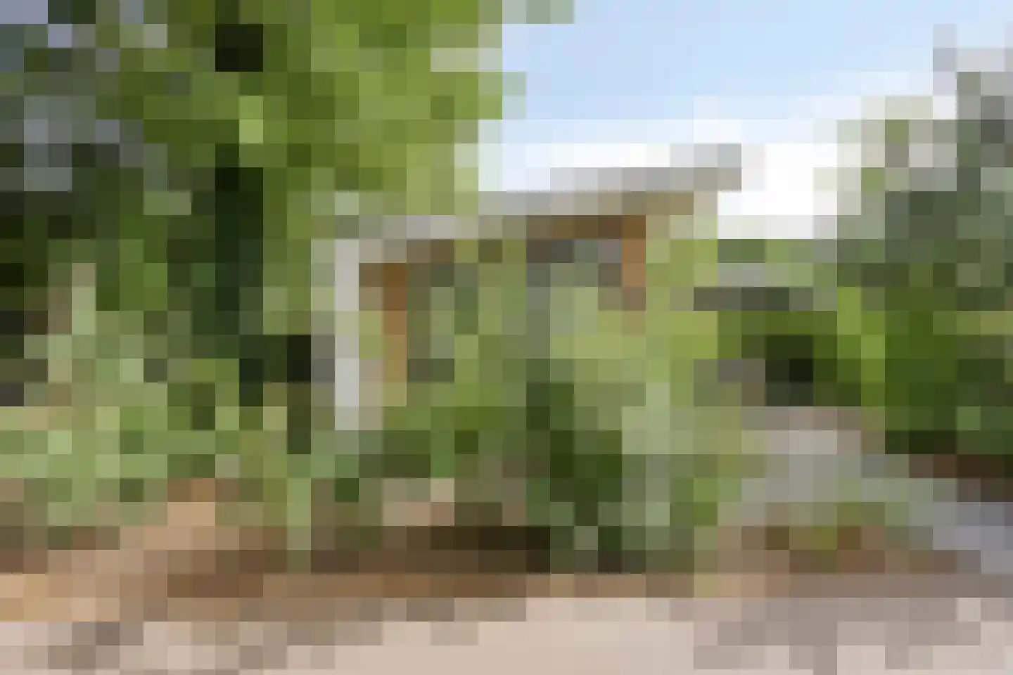 Immenweg 15 R 331A Lunteren thumbnail 23