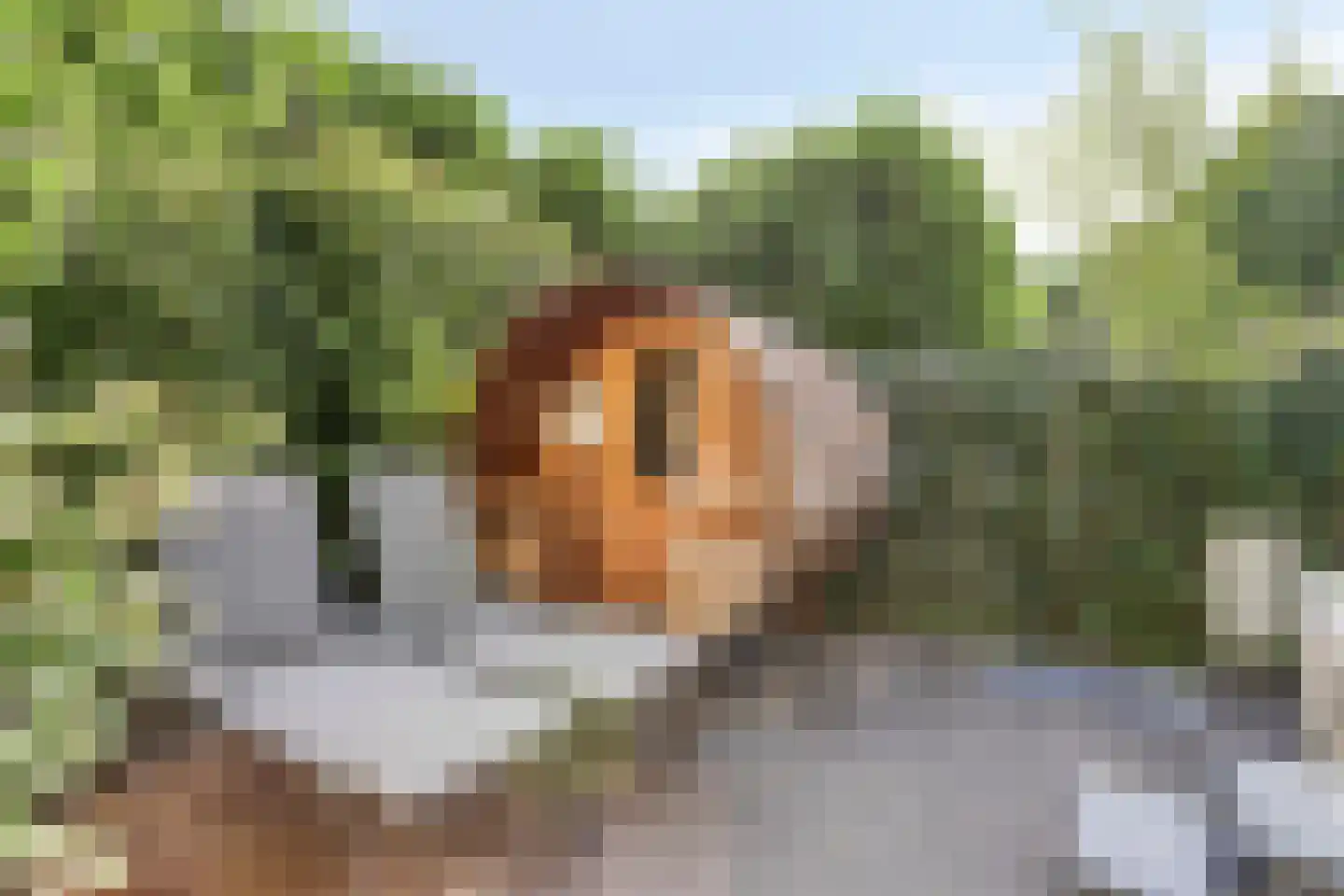 Immenweg 15 R 331A Lunteren thumbnail 25