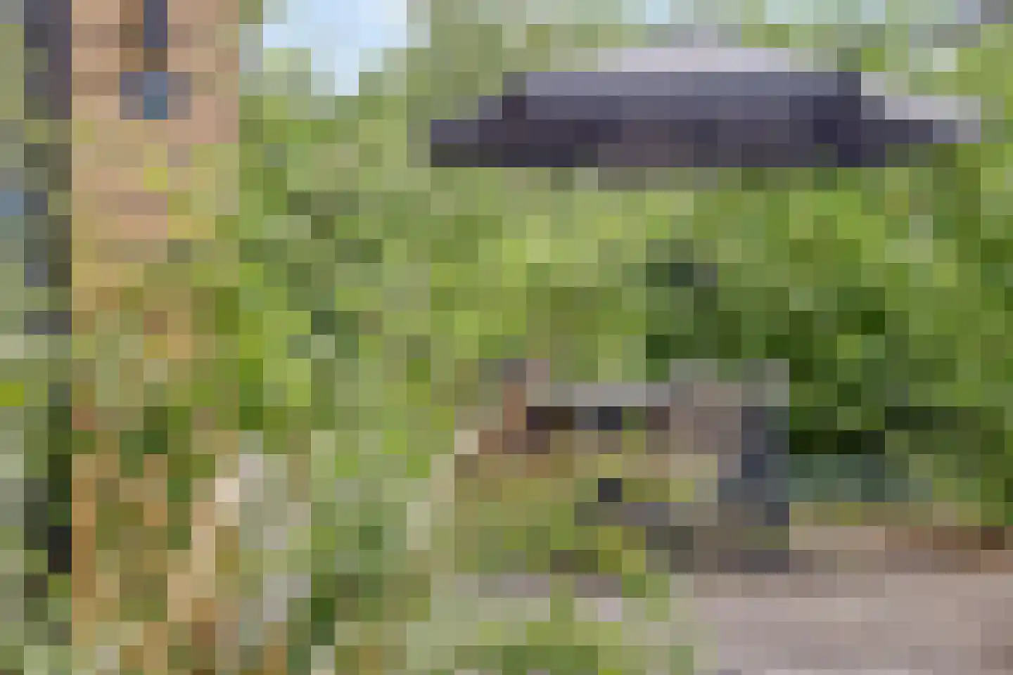 Immenweg 15 R 331A Lunteren thumbnail 27