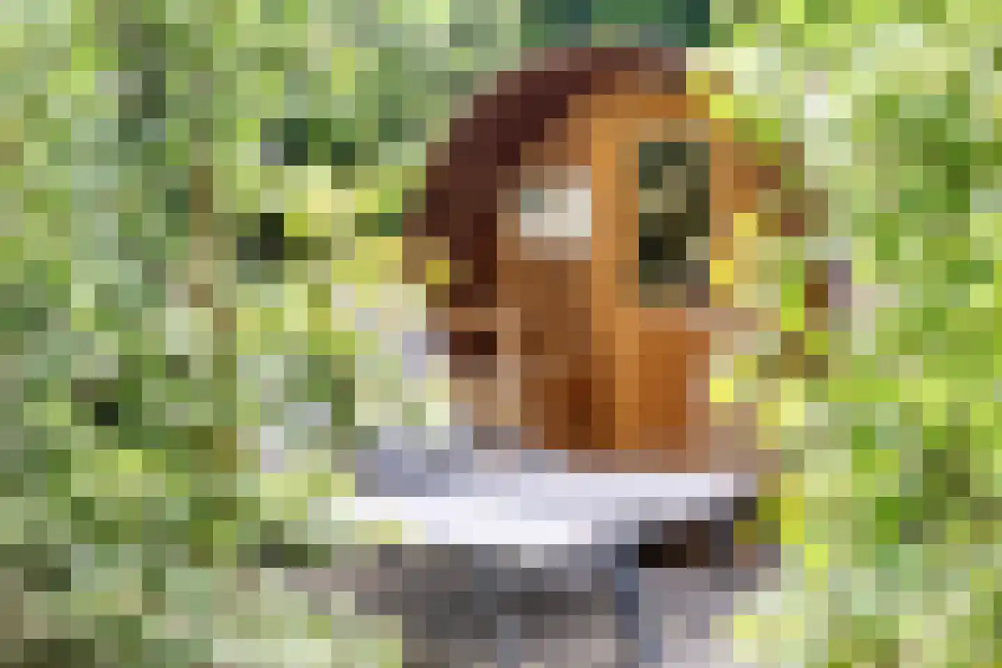 Immenweg 15 R 331A Lunteren thumbnail 30