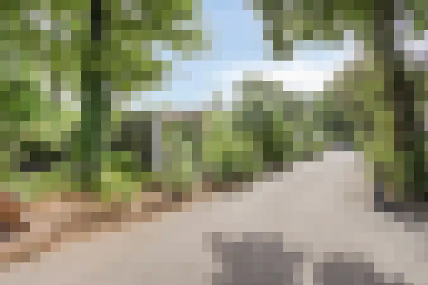 Immenweg 15 R 331A Lunteren thumbnail 35