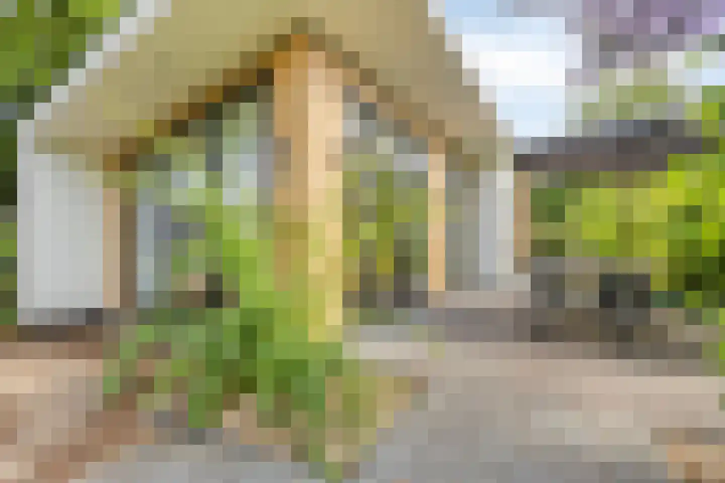 Immenweg 15 R 331A Lunteren thumbnail 4