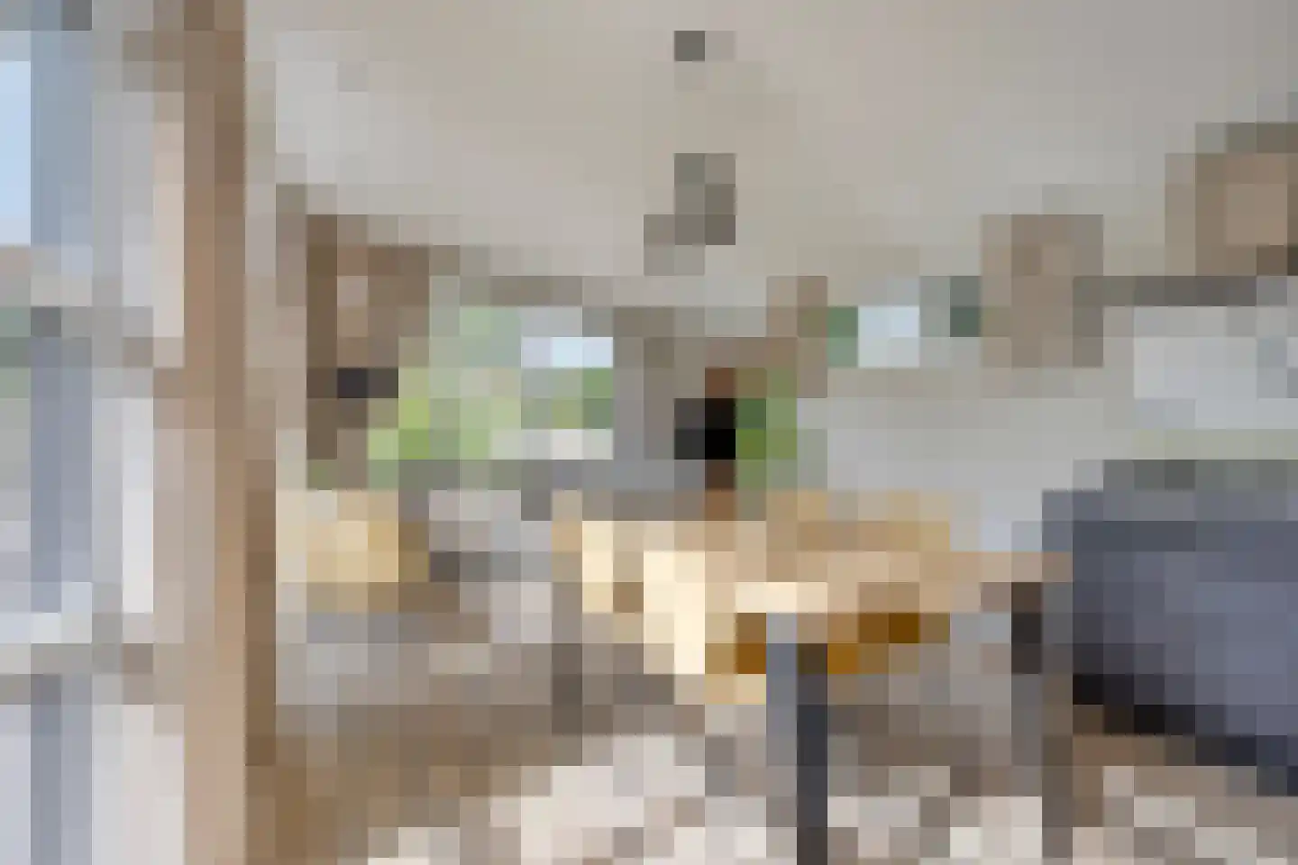 Immenweg 15 R 331A Lunteren thumbnail 7