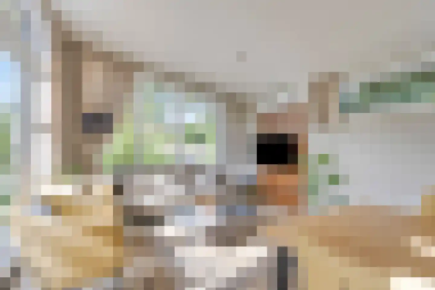 Immenweg 15 R 331A Lunteren thumbnail 9