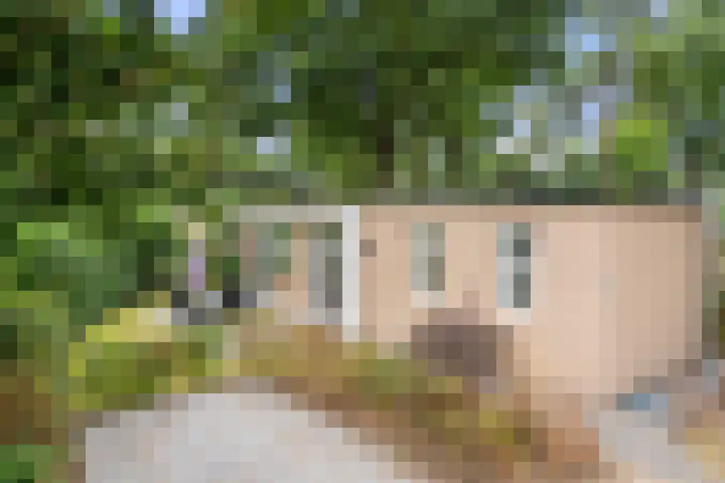 Immenweg 15 R 339 Lunteren thumbnail 21